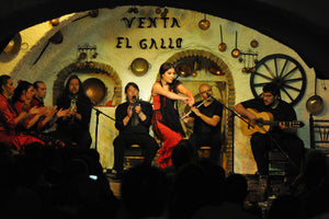 Granada Day & Night: Alhambra completa con audioguia más show flamenco