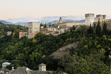Guía privado para la Alhambra