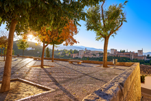 Granada Panoramic Tour
