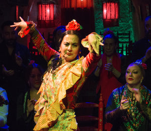 Show flamenco en cueva natural