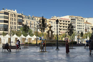 Granada Panoramic Tour
