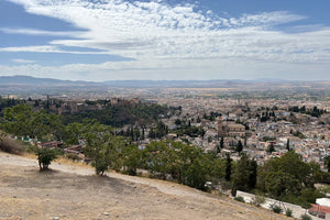 Granada Panoramic Tour