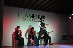 Flamenco en el Albaicín