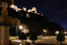 Alhambra Nocturna: Entrada Palacios Nazaríes y Palacio de Carlos V con Audioguía