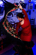 Show flamenco en cueva natural