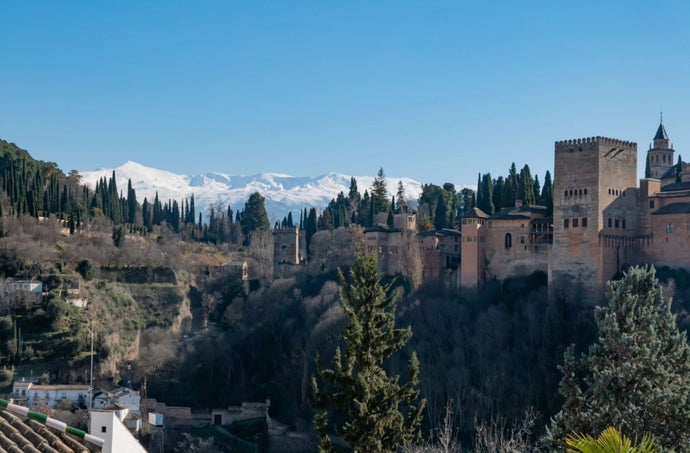 Alhambra por libre: Entrada Sin Cola