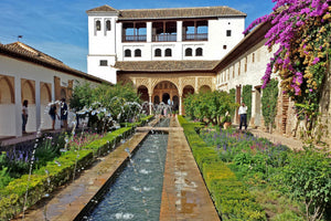 Alhambra: Entrada + Menú Nazarí